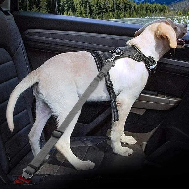 How the CozyRider™ Prevents Dangerous Dog Falls in the Car