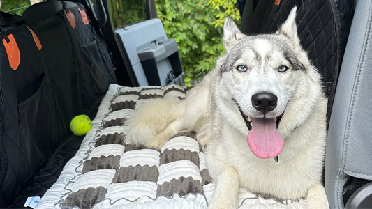 What Customers Love (and Hate) About the CozyRider™