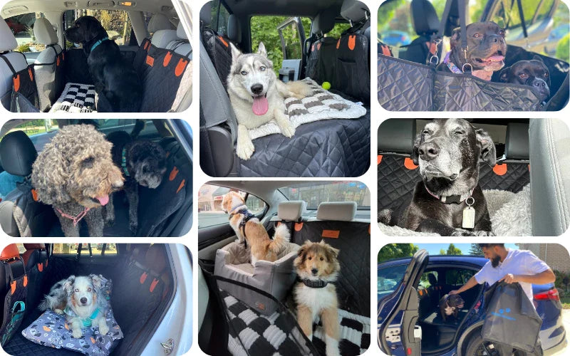 Real Pet Parents Share Why They Ditched Cheap Covers for Pawpy Stuff