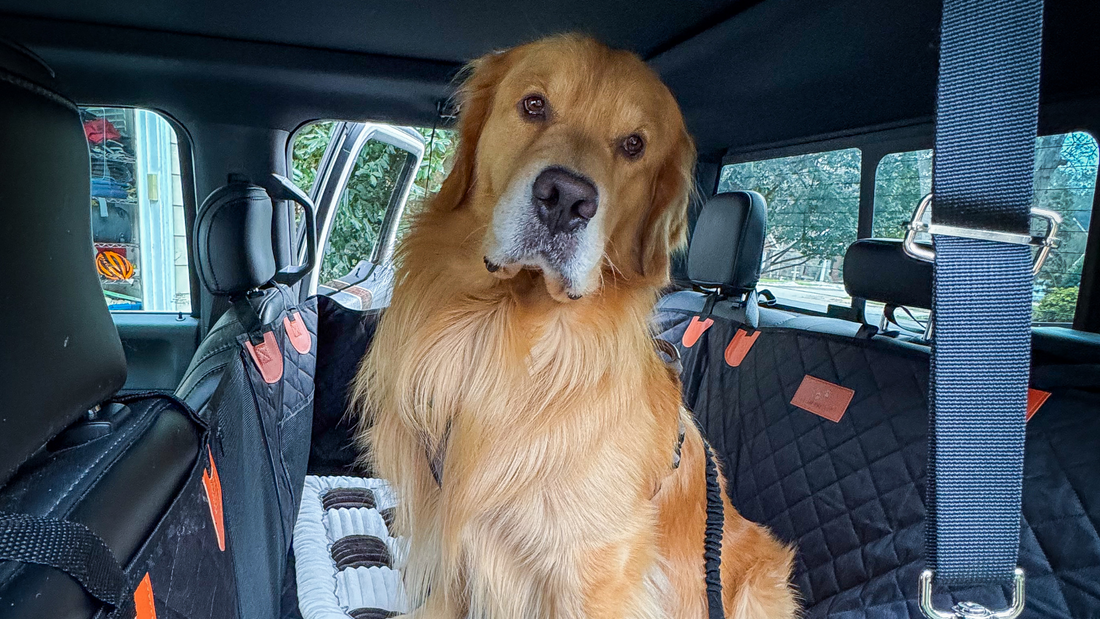 7 Reasons Your Dog Needs a Backseat Extender (And Why It Matters)