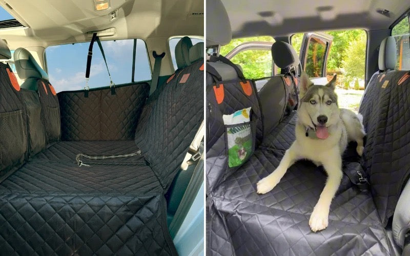 The Safest Way for Dogs to Ride in the Car (Backed by Vets)