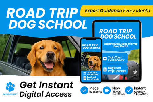 Road Trip Dog School™️