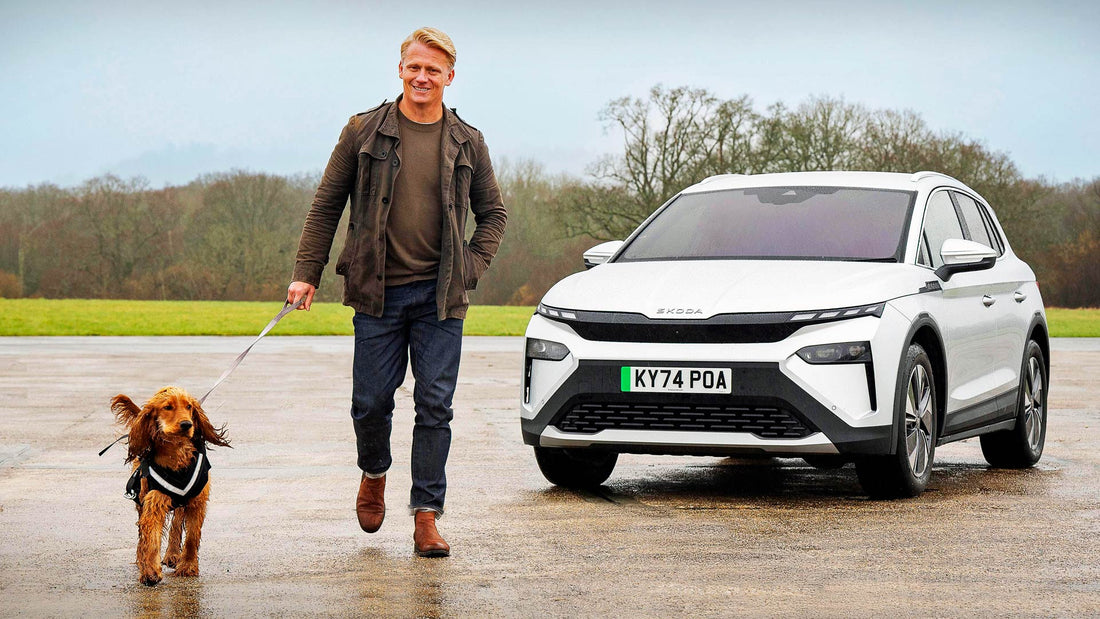 Top 5 Dog Backseat Extenders Compared: Amazon vs PawpyStuff