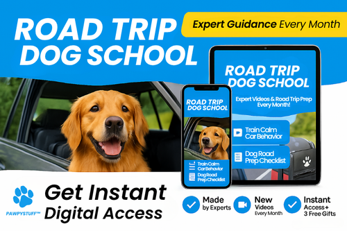 Road Trip Dog School™️