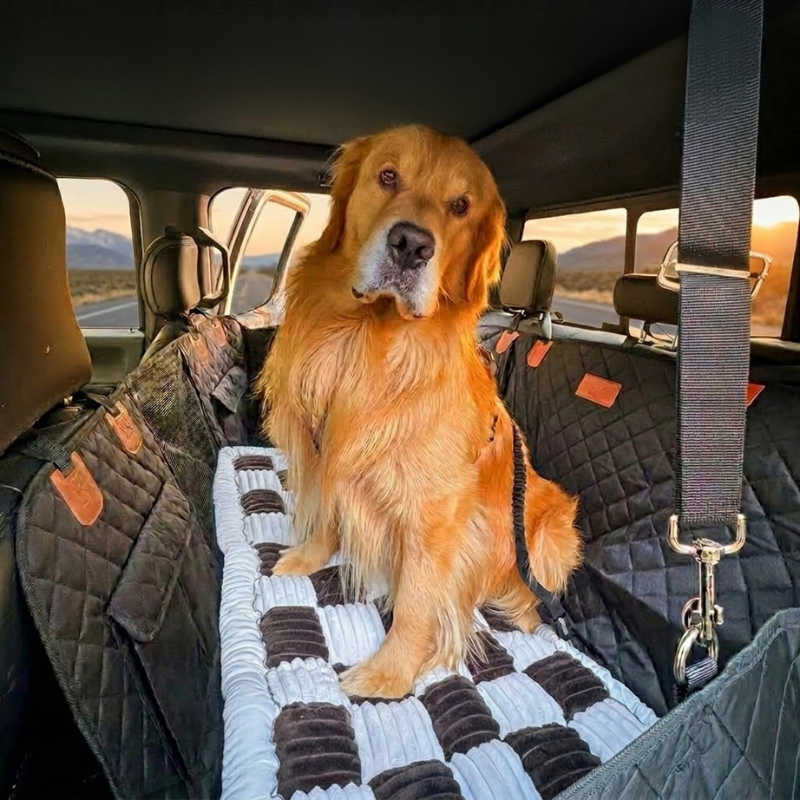 files/cozyrider_3.0_gibby_1.png