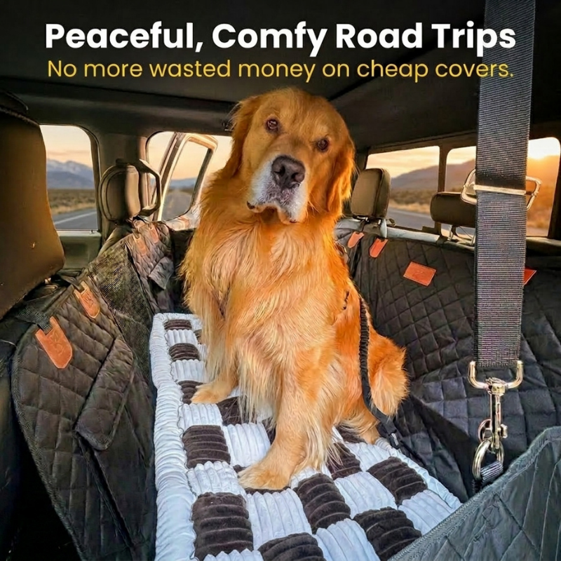 CozyRider™ 3.0
