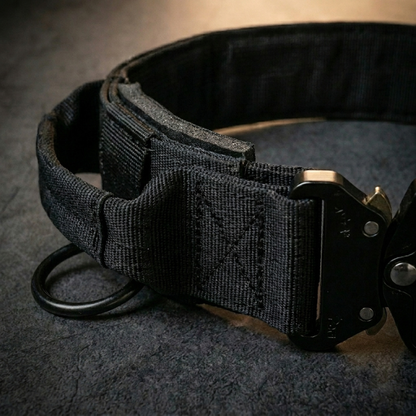 CozyWalk Control Collar