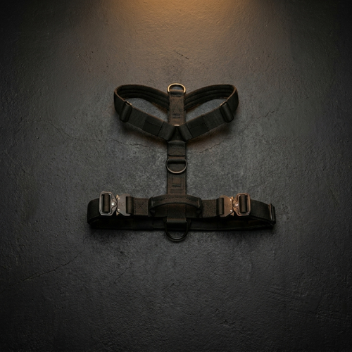 CozyWalk Control Harness