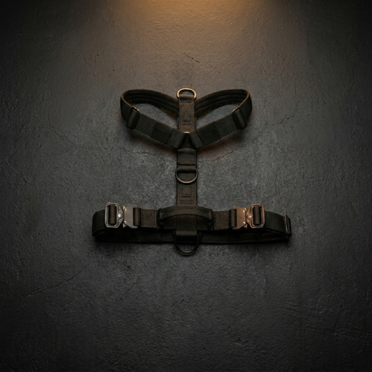 CozyWalk Control Harness
