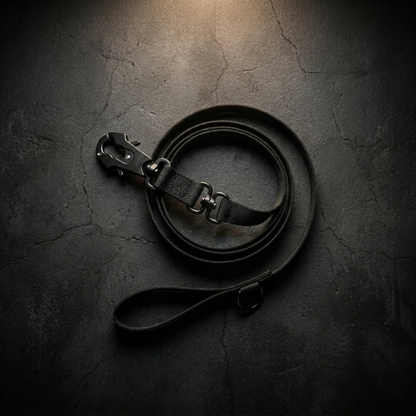 CozyWalk Control Leash