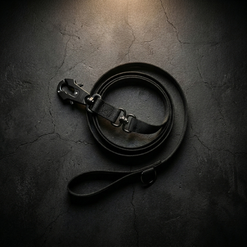 CozyWalk Control Leash