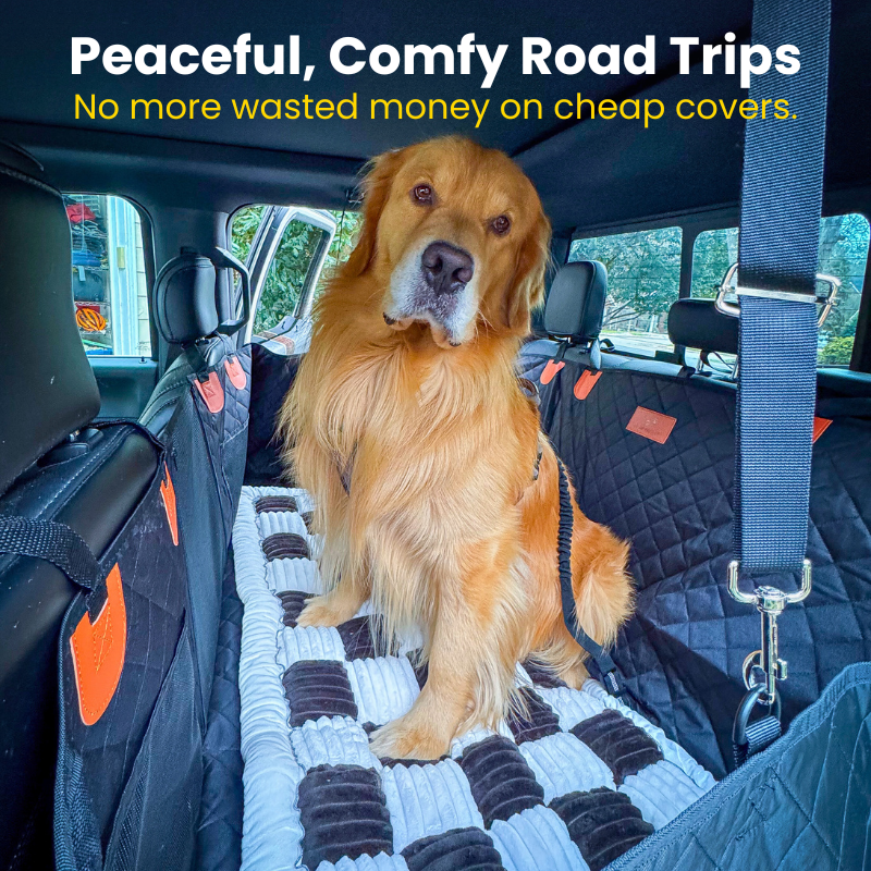 CozyRider™ 2.0